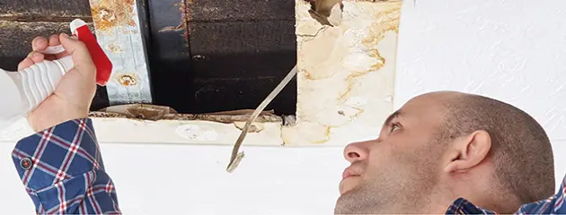 Testimonial Bauer GmbH